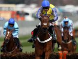 Peddlers Cross (IRE)