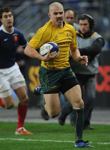 Wallabies run riot in Paris Wallabies run riot in Paris