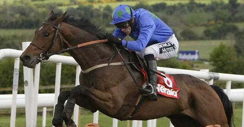  Hurricane Fly