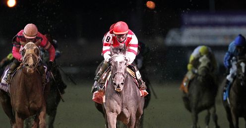 Unrivaled Belle