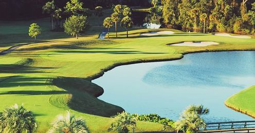 A shot of the Walt Disney Palm Course