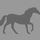Smarty Socks (IRE)