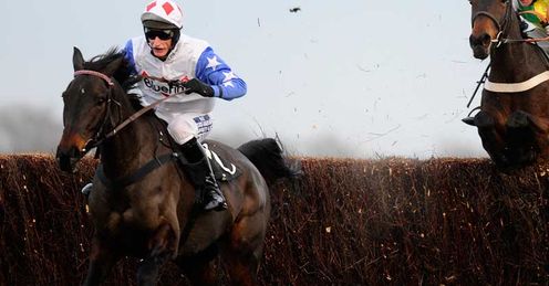 Daryl Jacob riding Diamond Harry at Newbury in November