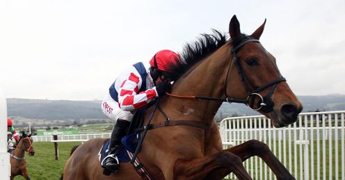 Sam Winner Cheltenham December