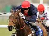 Bobs Worth (IRE)