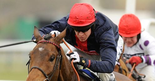 Bobs Worth Cheltenham