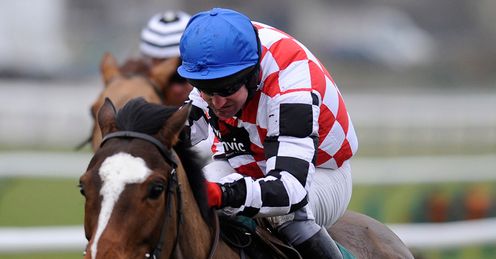 The Giant Bolster Cheltenham
