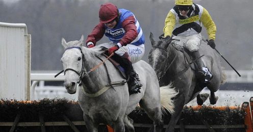  Walkon - Ascot - 22/1/11