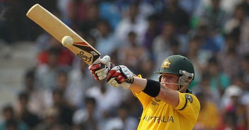 brad haddin australia new zealand world cup