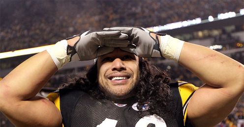 Troy Polamalu: Could play against Cincinnati after suffering a head injury