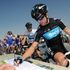 Qatar stage one gallery
