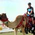 Qatar stage two gallery