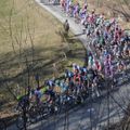 The bunch spent another day in the French countryside