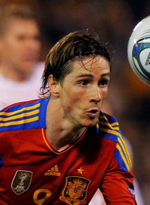 Torres Signed Shirt