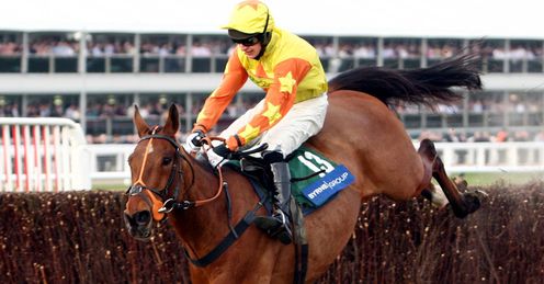 Holmwood Legend Cheltenham