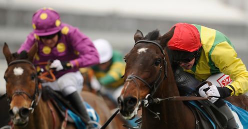 Sizing Europe Big Zeb Champion Chase