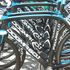 Tirreno Stage Six Gallery