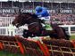 Cheltenham Preview - Jan 25
