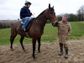 Nigel Twiston-Davies on the gallops with Imperial Commander.