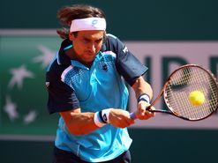David Ferrer
