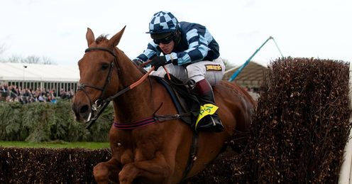 Wishfull Thinking will go up against Kauto Stone in the Tingle Creek