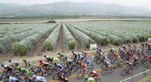 California stage 8 gallery