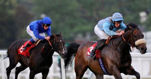 Blue Bajan Sandown