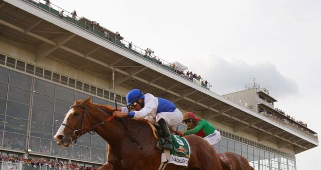 preakness stakes. win the Preakness Stakes