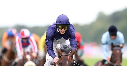 brown panther ascot