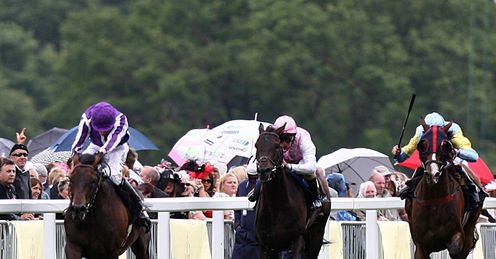 fame and glory gold cup field