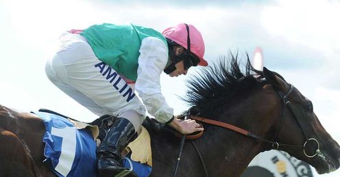 Sea Moon: a contender at Churchill Downs