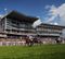 Horse Racing Betting