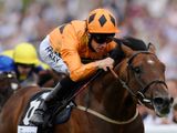 Harbour Watch (IRE)