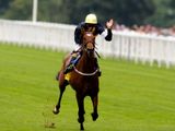 Nathaniel (IRE)
