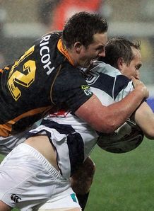 auckland v wellington auckland v wellington