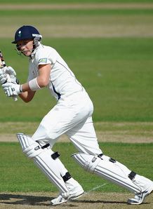 Root propels Lions to series win
