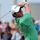 Rory McIlroy