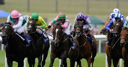 Dream Ahead July Cup