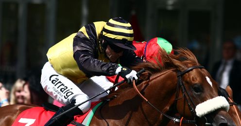 Red Duke Superlative Newmarket