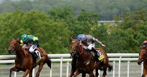 Boom and Bust: was 16th in the Hunt Cup