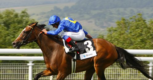meeznah goodwood2