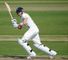 Root propels Lions to series win