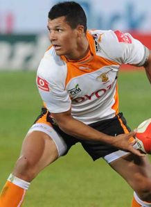tewis de bruyn cheetahs 2011 tewis de bruyn cheetahs 2011