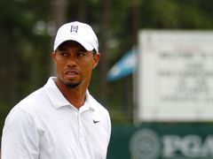 woods