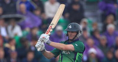 Ireland bounce back in Dubai