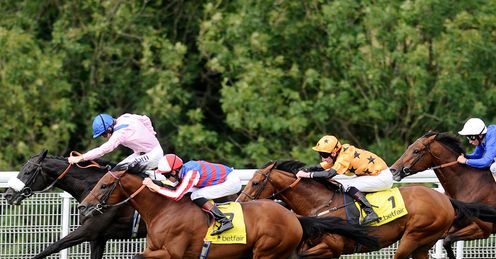 Dubawi Gold Set The Trend Beacon Lodge