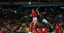 Wales to face Boks, Pumas and Tonga