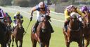 Pulse heads to Ascot