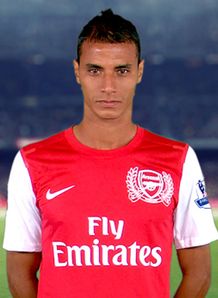 Picture of Marouane Chamakh