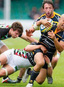 Worcester v Harlequins Dale Rasmussen